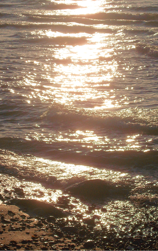 Golden sunlight reflecting on water