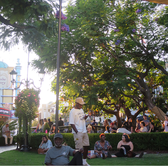 People gathering at a park